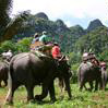 Full Day Elephant Safari & Rafting