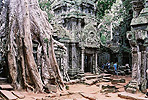 KHÁM PHÁ XỨ SỞ CHÙA THÁP ANGKOR CAMBỐT