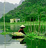 Discover the Tropical Rainforest & Halong